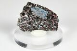 Blue Kyanite & Garnet in Biotite-Quartz Schist - Russia #178942-1